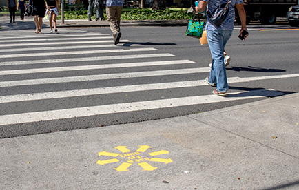 "Look All Ways" symbol on sidewalk by Dole Street crosswalk