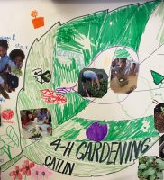 Catlin Gardening Club