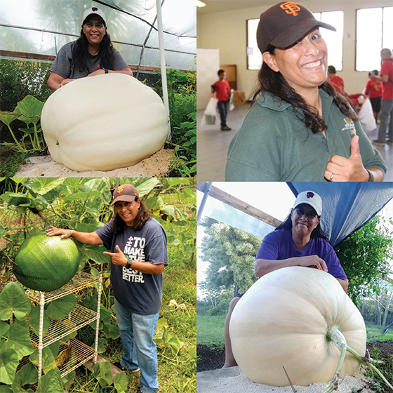 Collage of Becky Settlage with giant vegetables