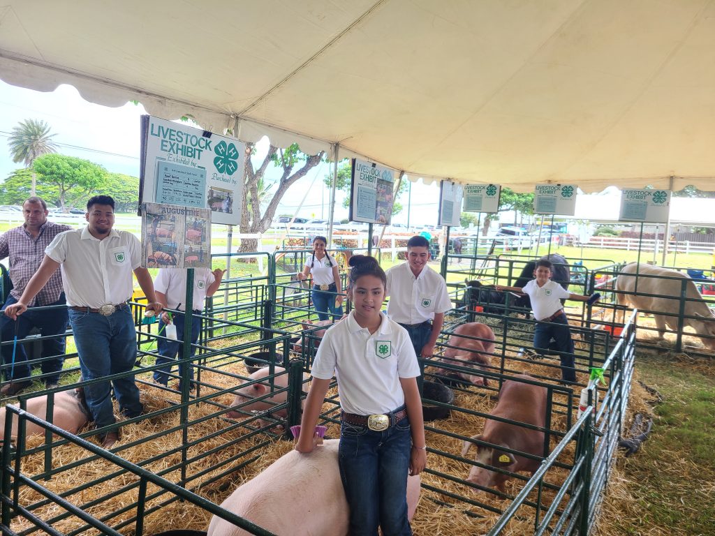 Youth preparing pens at the state show