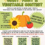 Oahu County Giant Fruit and Vegetable Contest