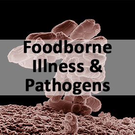 Foodborne Illness and Pathogens