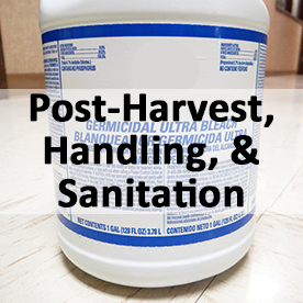 Post Harvest Handling and Sanitation
