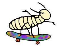 Skating termite