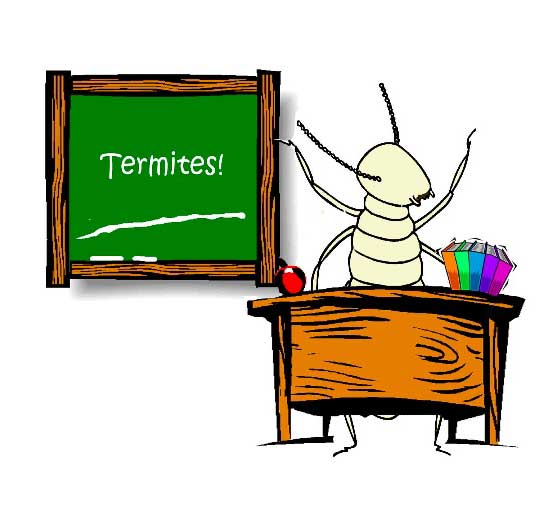 Teacher termite