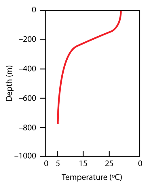 <p><strong>Fig. 9.18.</strong> The thermocline is a vertical zone of rapidly decreasing ocean temperature with depth. It is particularly pronounced in the tropics. In this figure the thermocline is at 200 m deep.</p>