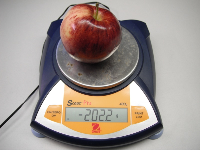 <p><strong>SF Fig. 1.4.</strong> Instrumental error occurs when instruments give inaccurate readings, such as a negative mass reading for the apple on a scale.&nbsp;</p><br />
