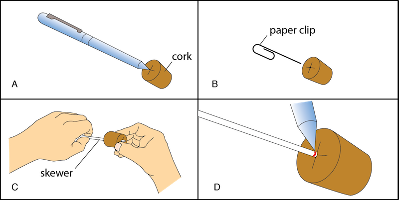 <p><strong>Fig. 2.16.</strong> Make the scale-and-cork assembly by (<strong>A</strong>) marking the center of the cork (<strong>B</strong>) starting a hole in the cork with a paper clip (<strong>C</strong>) inserting the skewer into the cork and (<strong>D</strong>) darkening the mark at which the skewer meets the cork.</p>