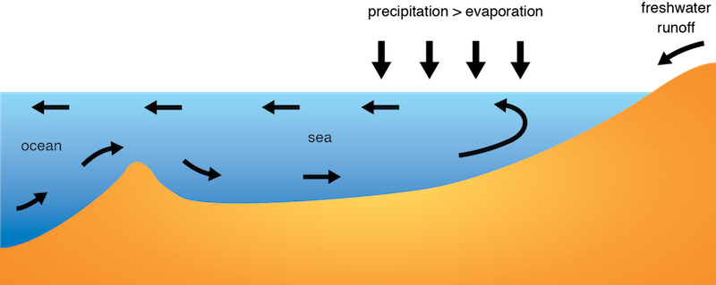 <p><strong>Fig 2.21.</strong>&nbsp;(<strong>B</strong>) Thermohaline circulation in the Baltic Sea is driven by high rates of precipitation and runoff. Less dense water flows out of the sea on the surface and denser water flows in along the ocean floor.</p>