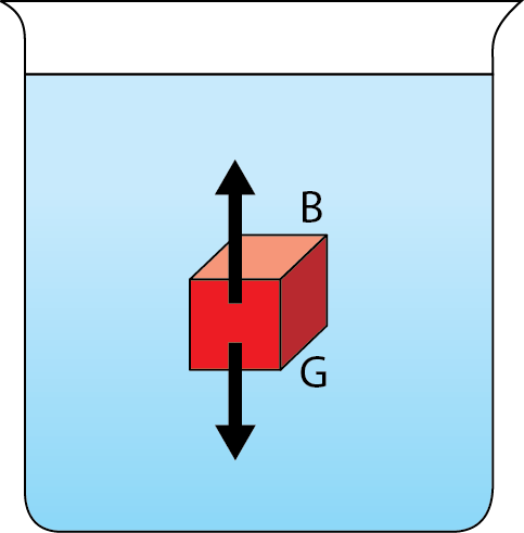 <p><strong>Fig. 2.5.</strong> Forces on a red block in water. The buoyant force is represented by the letter “B” and the upward pointing arrow. The gravitational force is represented by the letter “G” and the downward pointing arrow.</p>