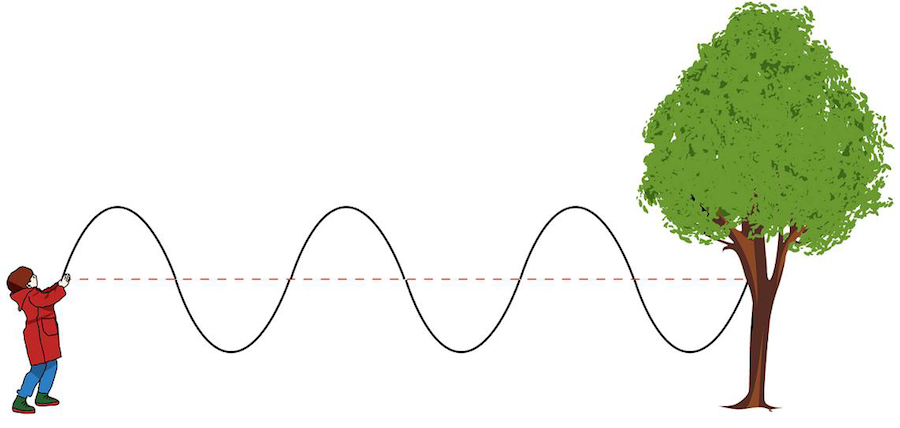 <p><strong>SF Fig. 7.1.</strong> (<strong>B</strong>) Secondary or "S" waves have motion perpendicular to the direction of the waive, similar to a rope.</p>