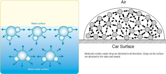 <p>&nbsp;</p><p><strong>Fig. 3-13</strong>: Water molecules at the surface of a liquid demonstrating surface tension.</p>