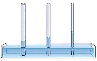 <p><strong>Fig. 3-16:</strong> Capillarity in different sized glass tubes.&nbsp;</p>
