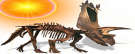 Skeletal Image of dinosaur