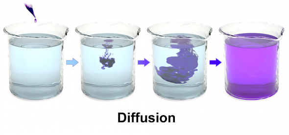 <p><strong>Fig. 2.9.</strong> Concentration gradient leading to diffusion and dynamic equilibrium</p>
