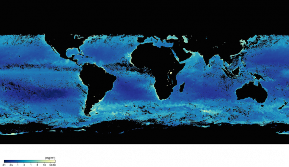 <p><strong>Fig. 9.17.</strong> Map of global sea surface chlorophyll concentration. Chlorophyll concentration (mg/m<sup>3</sup>) is an indication of the density of photosynthetic organisms, such as phytoplankton, in the epipelagic zone.</p>
