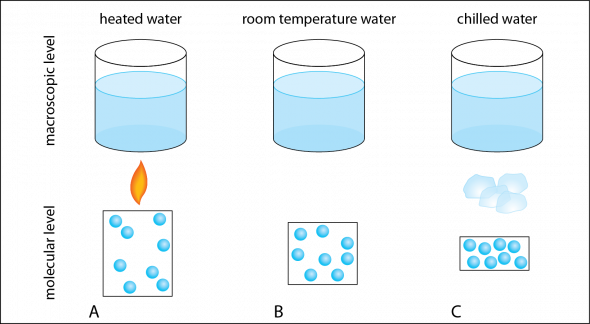 <p><strong>SF Fig. 2.1.</strong>&nbsp;<span style="line-height: 1.538em;">Heating and cooling water at the macroscopic and microscopic level.</span></p>