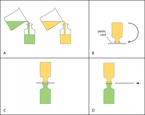 <p><strong>Fig. 2.18.</strong> Steps in manipulating bottles of liquids to observe gravitational flow between two liquids. (<strong>A</strong>) Add food coloring to one of the bottles and pour liquid into each bottle. (<strong>B</strong>) Invert the top bottle using a card to hold the liquid in the bottle. (<strong>C</strong>) Place the two bottles together. (<strong>D</strong>) Carefully remove the card.</p>

