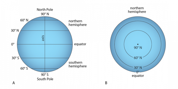 <p><strong>Fig. 8.15.</strong> The equator and the parallels of latitude (<strong>A</strong>) are equally spaced as seen in an equatorial view of the world and (<strong>B</strong>) can be seen to form complete circles when viewed from the North or South Pole.</p>