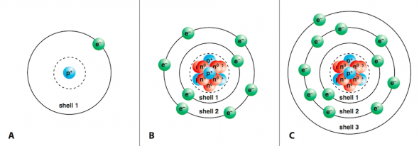 <p><strong>Fig. 2.21.</strong>&nbsp; (<strong>A</strong>) Hydrogen atom (atomic number 1, 1 proton, 1 electron) (<strong>B</strong>) Oxygen atom (atomic number 8, 8 protons, 8 electrons). Note that not all of the protons and neutrons are visible. (<strong>C</strong>) Sodium atom (atomic number 11, 11 protons, 11 electrons) Note that not all of the protons and neutrons are visible.</p>

