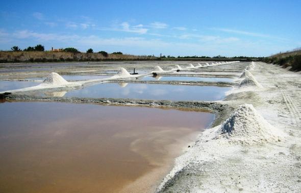 <p><strong>Fig. 2.20.</strong> Solar evaporation pond for salt production in Ile de Ré, France</p>
