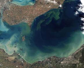 <p><strong>Fig. 2.18.</strong> (<strong>A</strong>) A satellite image of an algae bloom in Lake Erie shows swirls of phytoplankton microalgae.</p>
