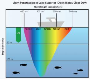 <p><strong>Fig. 2.45.</strong> Visible colors of light penetrate differently into the ocean depths, as seen in this image depicting light penetration in Lake Superior. Longer wavelengths such as red are absorbed at a shallower depth than shorter wavelengths such as blue, which penetrate to a deeper depth.</p>
