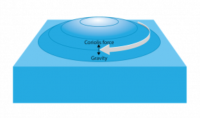 <p><strong>Fig. 3.22.</strong> Coriolis forces, the rotational velocity of Earth, and gravity are responsible for generating geostrophic flow.</p>
