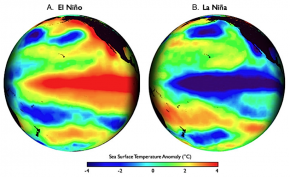 <p><strong>Fig. 3.27.</strong> Global maps of the Pacific ocean basin show patterns of sea surface temperature during (<strong>A</strong>) El Niño and (<strong>B</strong>) La Niña events. Sea surface temperature is presented as compared to long-term average values in those locations. The red- and blue-colored streaks along the equator illustrate hotter-than-average and colder-than-average sea surface temperatures associated with El Niño and La Niña events, respectively.</p>
