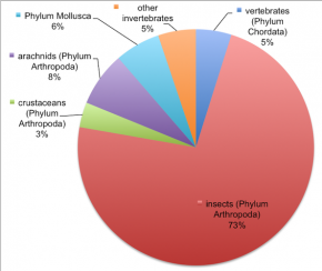 <p><strong>Fig. 3.3.</strong> Percent contribution of species from the major groups within the kingdom Animalia. Source: International Union for the Conservation of Nature (IUCN) 2015</p>
