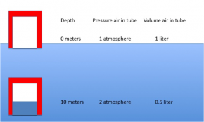 <p><strong>Fig. 9.14.</strong> Diagram of the volume of air in a tube at 0 m and 10 m depth. At 10 m air is compressed to half its volume due to a doubling of the pressure.</p>
