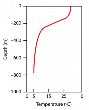 <p><strong>Fig. 9.18.</strong> The thermocline is a vertical zone of rapidly decreasing ocean temperature with depth. It is particularly pronounced in the tropics. In this figure the thermocline is at 200 m deep.</p>

