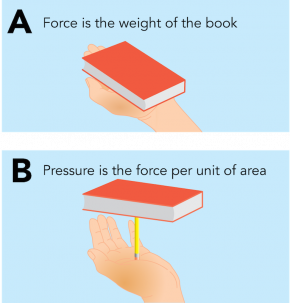 <p><strong>Fig. 9.10.</strong> The (<strong>A</strong>) force exerted on your hand from a book is different from the (<strong>B</strong>) pressure felt from the book when it is placed on a pencil.</p>
