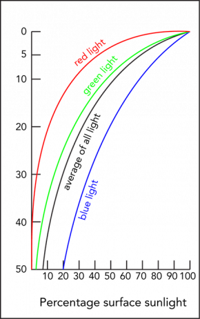 <p><strong>Fig. 9.9.</strong> The intensity of sunlight decreases rapidly with depth.</p>