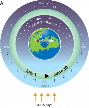 <p><strong>Fig. 1.15</strong> (<strong>A</strong>) A north polar view of earth showing the international date line and time.</p>
