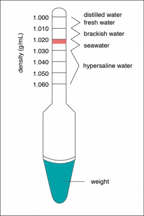 <p><strong>Fig. 2.14.</strong> A hydrometer used to determine water densities in g/mL. The pink shaded region indicates the optimum density of saltwater aquaria at an average temperature of 20˚C to 25˚C.</p>