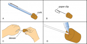 <p><strong>Fig. 2.16.</strong> Make the scale-and-cork assembly by (<strong>A</strong>) marking the center of the cork (<strong>B</strong>) starting a hole in the cork with a paper clip (<strong>C</strong>) inserting the skewer into the cork and (<strong>D</strong>) darkening the mark at which the skewer meets the cork.</p>
