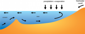 <p><strong>Fig 2.21.</strong>&nbsp;(<strong>B</strong>) Thermohaline circulation in the Baltic Sea is driven by high rates of precipitation and runoff. Less dense water flows out of the sea on the surface and denser water flows in along the ocean floor.</p>
