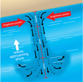 <p><strong>Fig. 5.19.</strong> Anatomy of a rip current, showing how currents parallel to shore intersect with the rip current heading out to sea</p>
