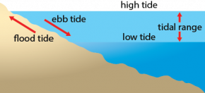 <p><strong>Fig. 6.3. </strong>Tidal stages</p>
