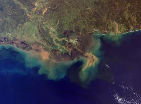 <p><strong>Fig. 7.60.</strong> Intense rainfall and melting snow can increase sediment runoff into the ocean. This image is from the Mississippi river delta.</p>
