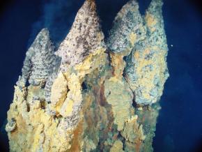 <p><strong>Fig. 7.64.</strong> Deep sea chimneys measuring 9 m tall from base to tip, East Diamante Volcano, Marianas Islands Marine National Monument. Chimneys form at hydrothermal vents when particles dissolved in the superheated fluid from the vent meets cold ambient water and precipitates out.</p>
