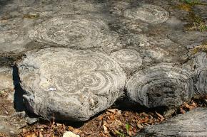 <p><strong>Fig. 7.8.</strong> (<strong>A</strong>) Stromatolites at Lester Park, Saratoga Springs, New York. The white bar represents 3 cm</p>
