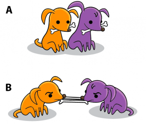<p><strong>Fig. 2.27.</strong> Puppies demonstrating covalent bonding (<strong>A</strong>) The two puppies represent atoms, their bones represent one of their electrons. (<strong>B</strong>) Both puppies share both bones.</p>
