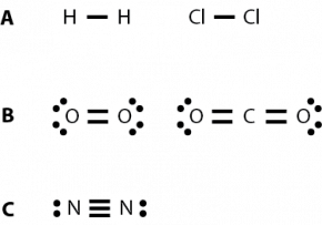 <p><strong>Fig. 2.30.</strong>&nbsp; Examples of single, double, and triple bonds (<strong>A</strong>) single bonds, H<sub>2</sub> and Cl<sub>2</sub> (<strong>B</strong>) double bonds, O<sub>2</sub> and CO<sub>2</sub> (<strong>C</strong>) triple bond, N<sub>2</sub></p>