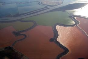 <p><strong>Fig. 2.35.</strong> (<strong>A</strong>) Salt evaporation ponds on the shores of San Francisco Bay</p>
