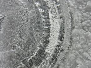 <p><strong>Fig. 2.5.&nbsp;</strong>(<strong>B</strong>) A close-up of salt rings on watch glass.</p>
