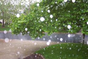 <p><strong>SF (5-1)</strong>&nbsp;Rain drops captured falling during a spring thundershower. Notice the raindrops are circular.</p>