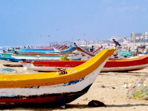 <p><strong>Fig. 1.7.</strong> OLP 6. Fishing boats in Chennai, India.</p>
