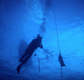 <p><strong>SF Fig. 9.4.</strong> (<strong>A</strong>) Scuba divers are attached to a central buoy by ropes.</p>
